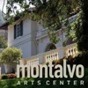 Montalvo Arts Center